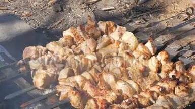 许<strong>多肉</strong>串上的肉块是在篝火上烤的。 肉串或烤肉在自然界中是烤的。 野餐